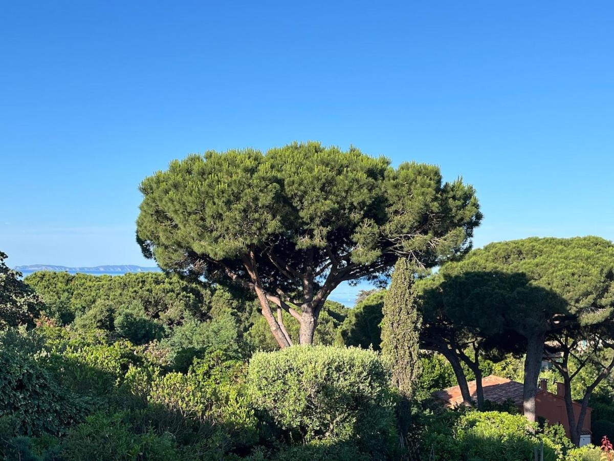 Mas A La Plage- 2 Bedrooms, Terrace, Parking Apartment